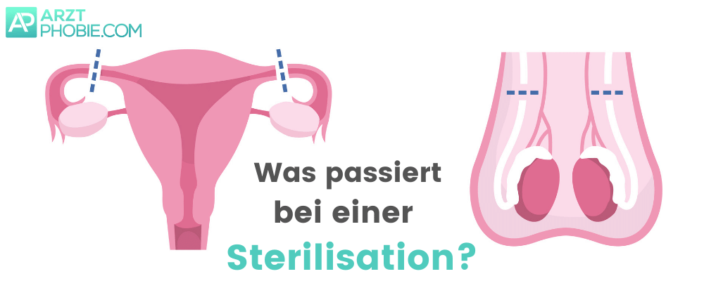 Sterilisation-was-passiert