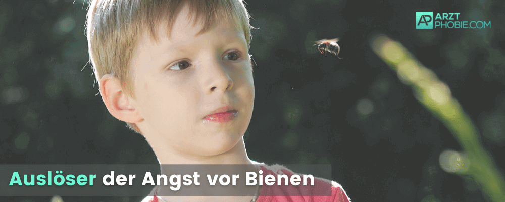 ausloeser-ursachen-angst-vor-bienen-junge-kind