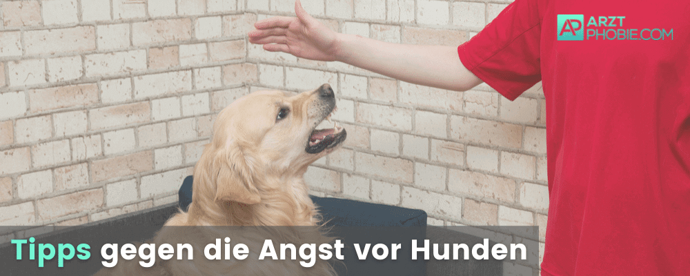 tipps-angst-vor-hunden