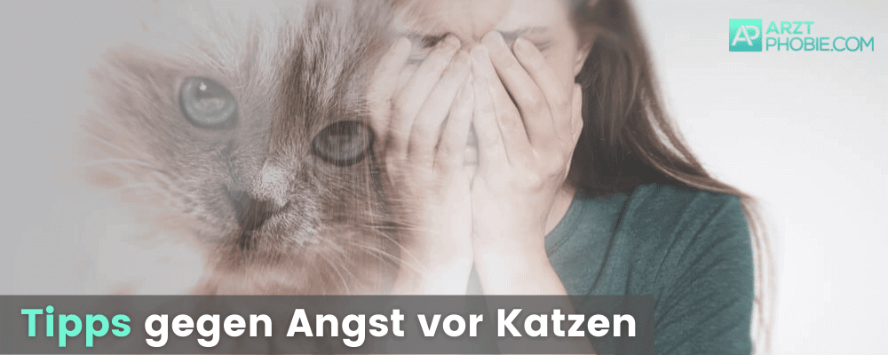 tipps-gegen-angst-vor-katzen