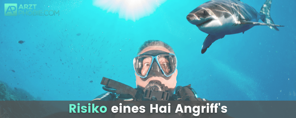 risiko-hai-angriff