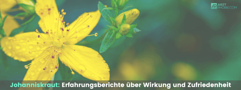 johanniskraut-erfahrungsberichte-wirkung