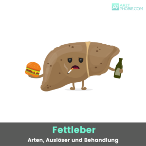 fettleber-teilen