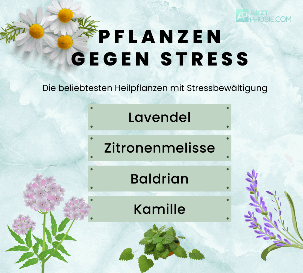 pflanzen-gegen-stress