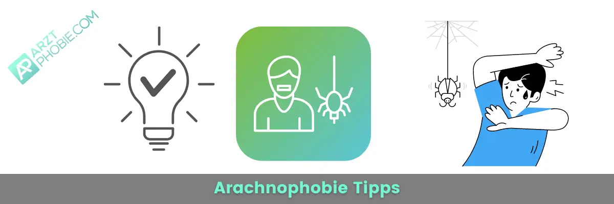 Arachnophobie-tipps