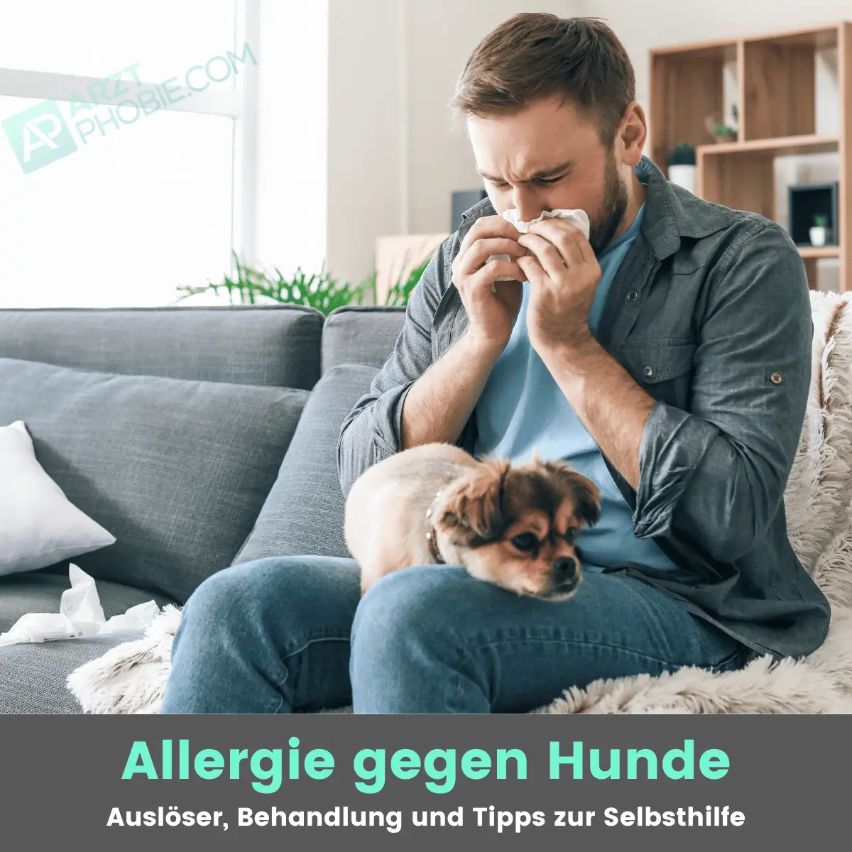 Allergie gegen Hunde Hundehaarallergie 🐶 Auslöser + Tipps